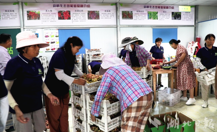 利记官方网址